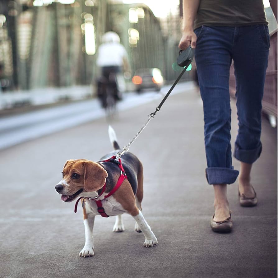 PET LEASHES