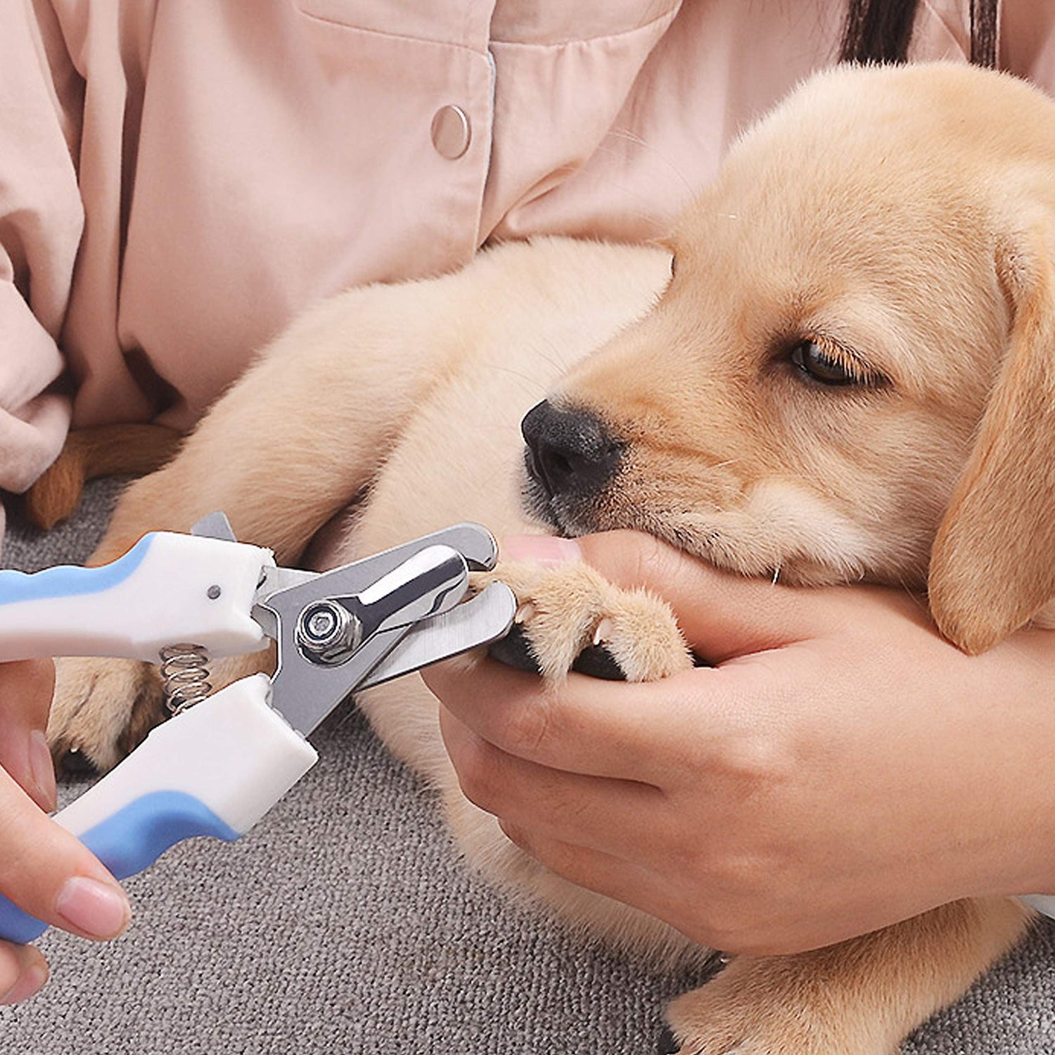 PET NAIL CLEANER