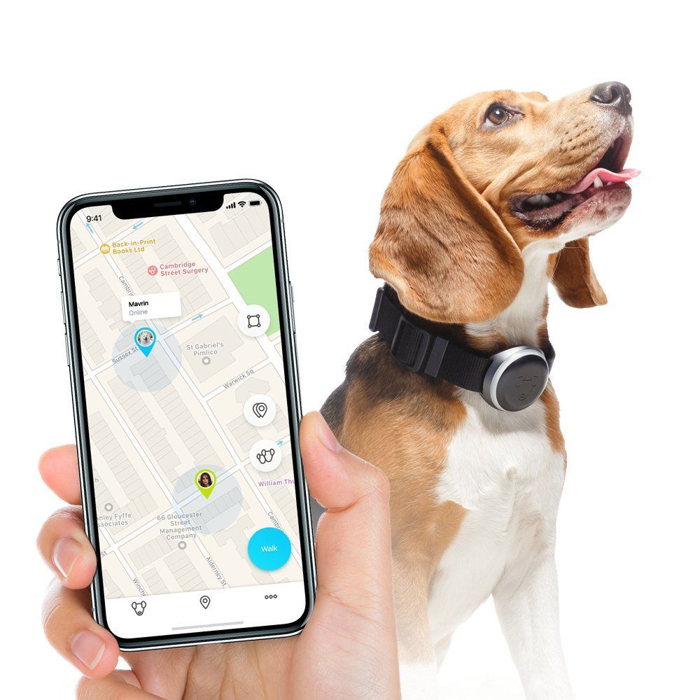 PET GPS TRACKER
