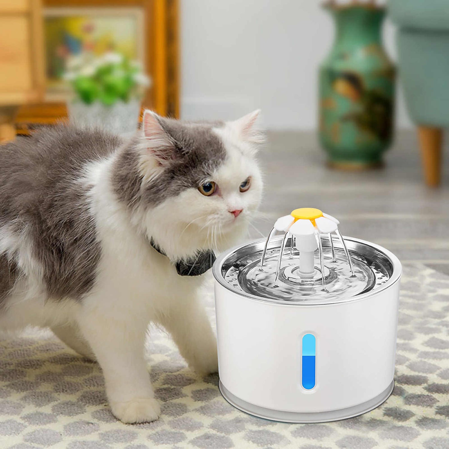 PET WATER DISPENSER